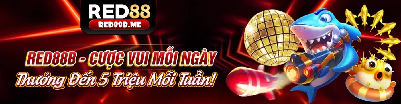 Các loại cookie Winclub sử dụng để tối ưu hóa trải nghiệm cá cược trực tuyến