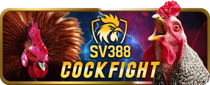 Đá Gà Campuchia Thomo